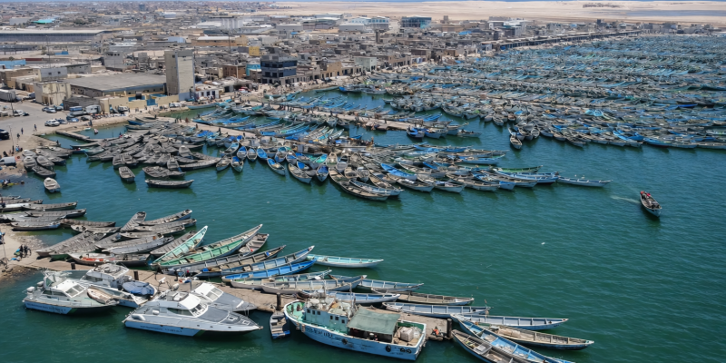 Assistance-technique pour le Système VTS du Port de Nouadhibou Assistance-technique pour le Système VTS du Port de Nouadhibou